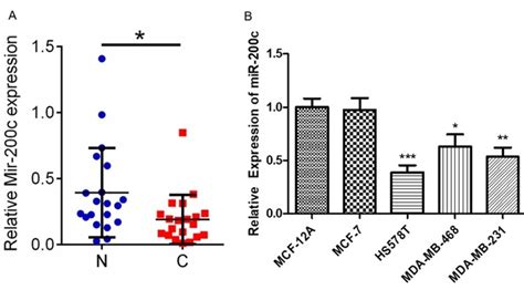 Microrna 200c Inhibits The Metastasis Of Triple Negative Breast Cancer