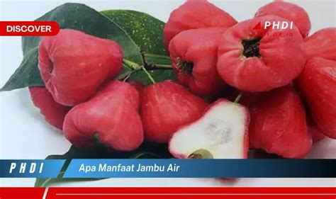 Temukan Manfaat Jambu Air Yang Mencengangkan