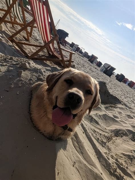 Guess Who Had The Best Day At The Beach Pics