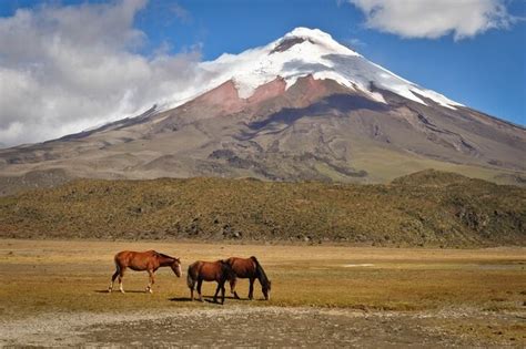 20 Best Attractions & Things to Do in Ecuador | 2025