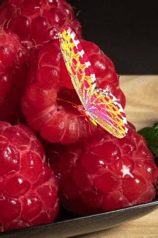 Вкусно | Малина, Фруктовые композиции, Ягоды