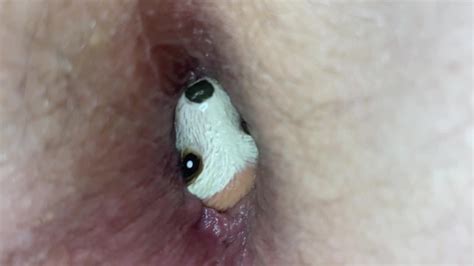 Closeup Letting My Meerkat Toy Catch A Breath Pornhub Gay