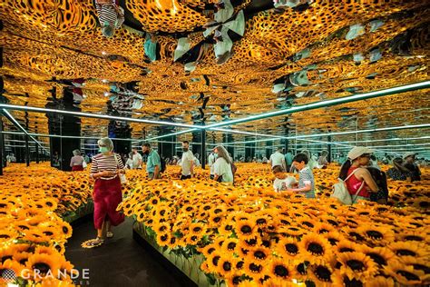 Van Gogh Alive Iconic Art Brought To Life Beau Monde Traveler Luxury