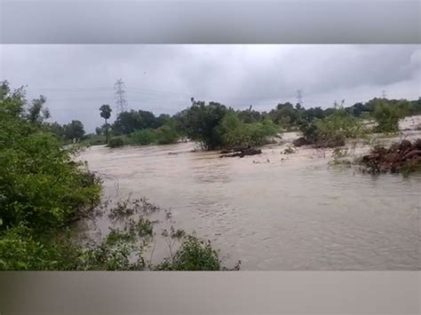 Rajasthan Heavy Rainfall Leaves Ajmer And Sikar Waterlogged