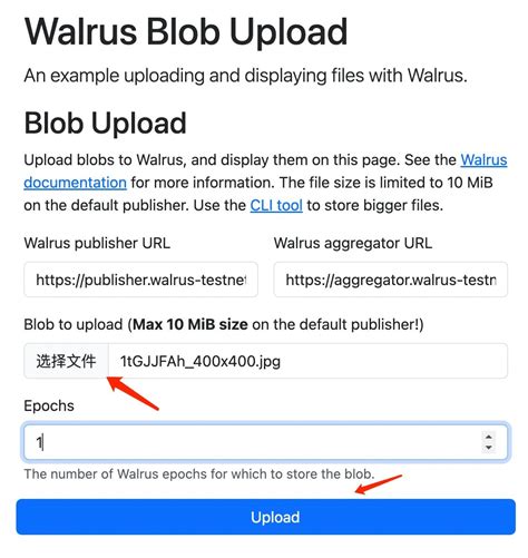 Super Potential Airdrop Walrus Walrus 0 Tutorial Sui Official