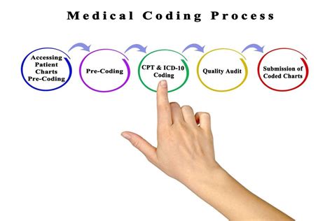 How Many Types Of Cpt Codes Are There In Medical Billing Medical Fee