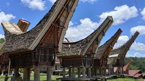 Rumah Adat Toraja: Nama, Keunikan, Gambar & Penjelasan