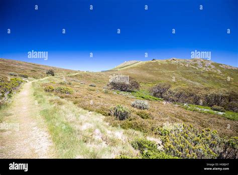 Mount Buller Walking Trails In Summer Stock Photo Alamy