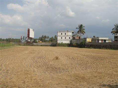 Agricultural Land For Sale At Vadakkencherry Palakkad Kerala Real Estate