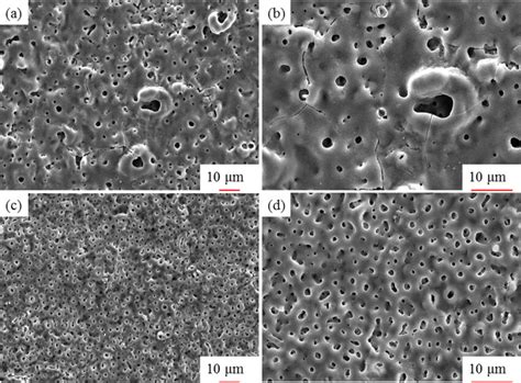 Surface Morphology Of The Mao Coatings Treated In The A B