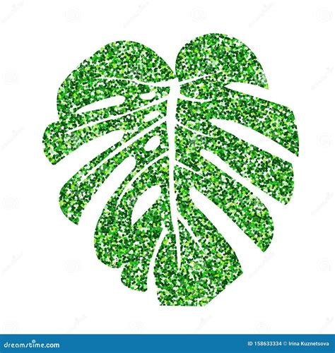 Glitter Texture Green Tropical Leaf Monstera Isolated On White