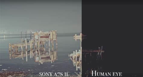 Sony A7s II vs. The Human Eye in Low-Light Demonstration | SLR Lounge