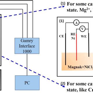 Schematic Of Experimental Setup Three Electrode Electrochemical Cell