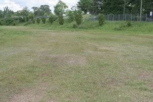 Georgia Racing History Lakewood Speedway