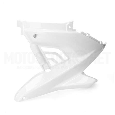 Tapa Cubre Motor Izquierda Yamaha Aerox MBK Nitro Hasta 2013 AllPro