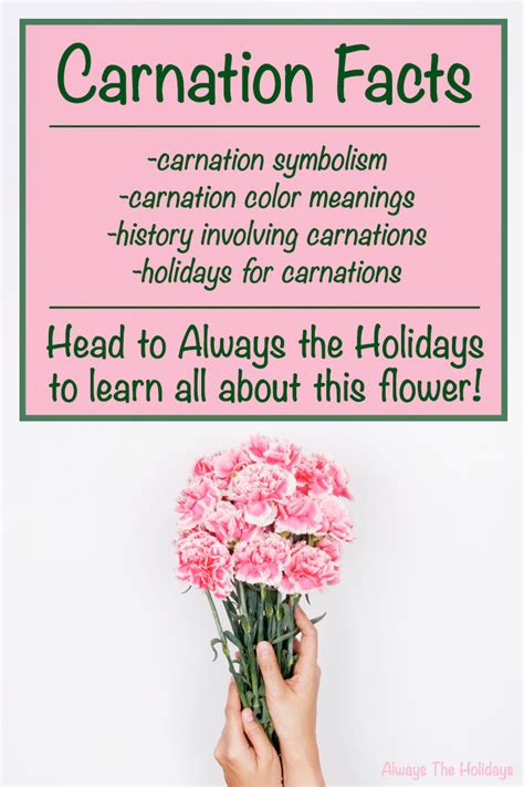 National Carnation Day - Facts About Carnations and History of the Day