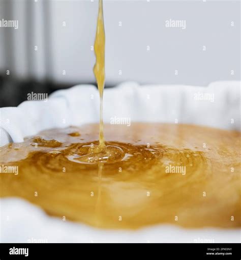 Honey Production Extraction And Drip In Factory With Sweet Gold