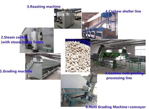 Automatic Cashew Nut Grading Steam Cooking Shelling Roasting Peeling