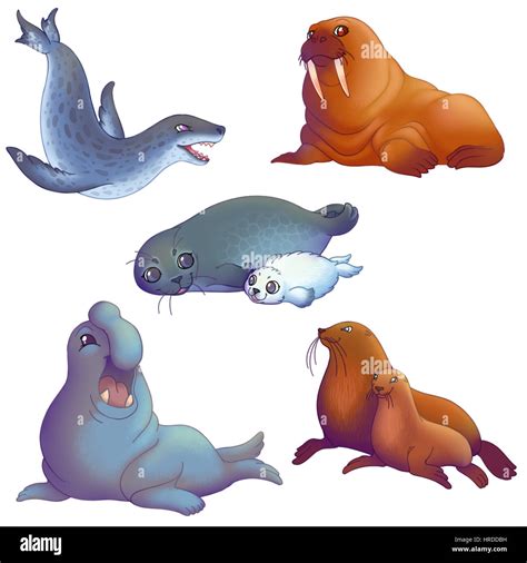 Leopard Seal Cartoon