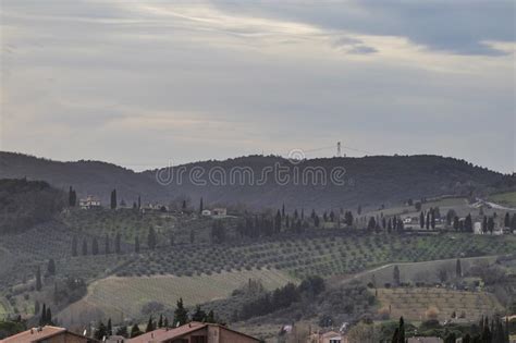 Cloudy Foggy Rural Tuscany Landscape In Italy Stock Image Image Of