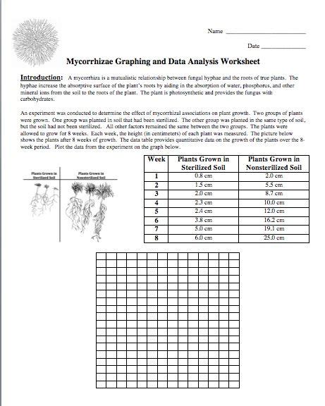 Free Graphing Practice Science