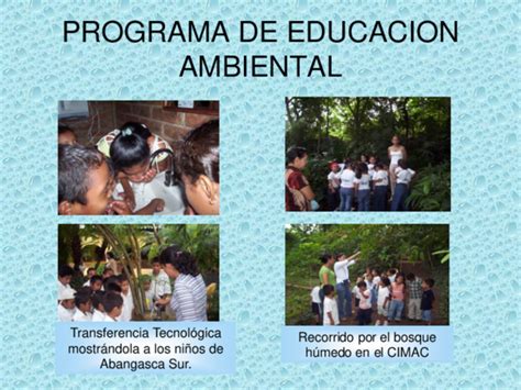 Pdf Programa De Educación Ambiental María Fernanda Ruiz