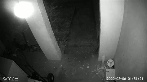 Spirit Orbs Caught On Wyze Cam Or Youtube