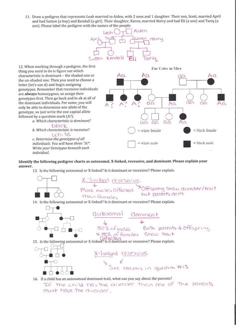 Pedigree Practice Sheet Answers Printable Pedigree Chart