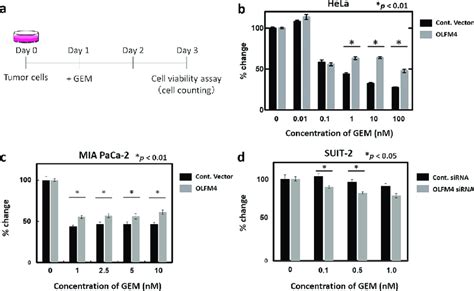 Cell Viability Assay Using Cancer Cell Lines A Schematic