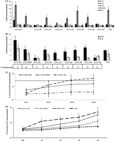 F Nucleatum Infection Induces Mucin And Proinflammatory Cytokine Gene