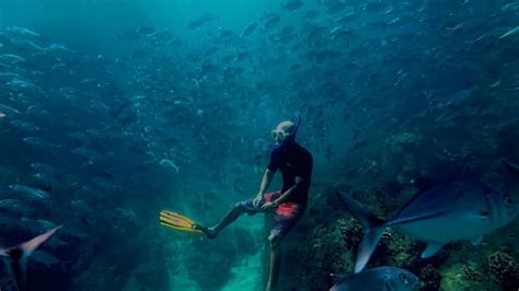 Caño Island Snorkeling Tour - Uvita | Project Expedition