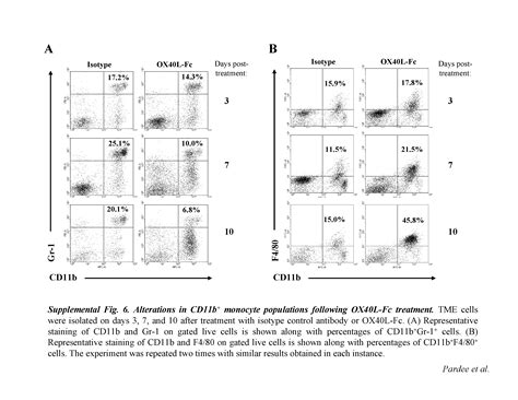 A Therapeutic Ox40 Agonist Dynamically Alters Dendritic Endothelial