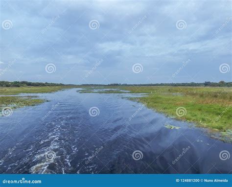 Safari Theme Marshy Landscape In River Botswana Stock Photo Image