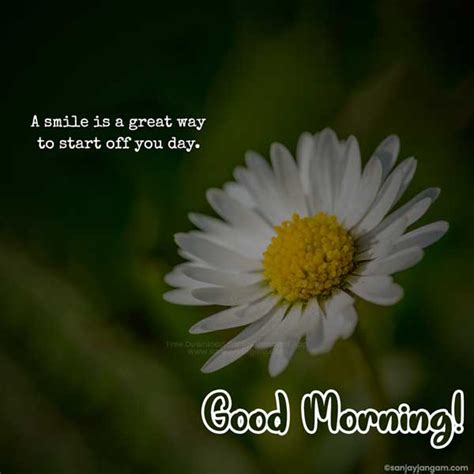 Good Morning Quotes in English | 1500+ Good Morning Wishes in English