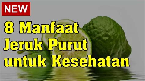 8 Manfaat Jeruk Purut Untuk Kesehatan YouTube