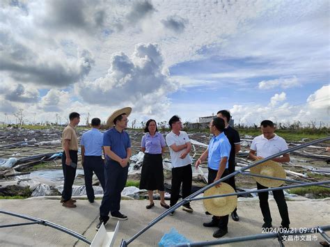 颱風過境 蔬菜產業專家團奔赴海南指導災後生產 新浪香港