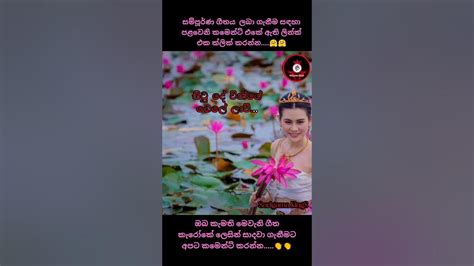 හද අම්බරයේ මා හද හාමි 😍😍 ඔබෙ සෙවනැල්ල සේ මම ආමි ️ ️ Youtube