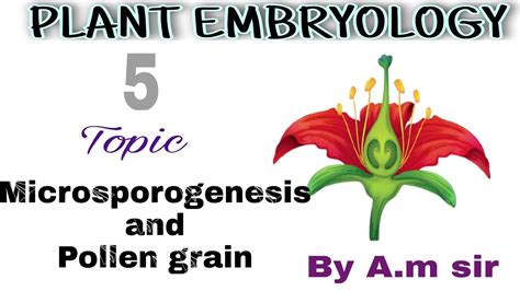 05 Plant Embryology Microsporogenesis And Pollen Grain Youtube