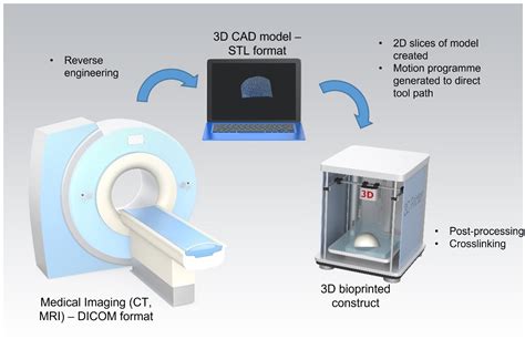 Bioengineering Free Full Text Translational Application Of D