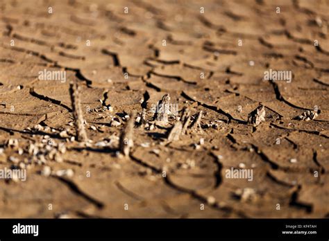 Cracks In Drought Affected Earth Stock Photo Alamy