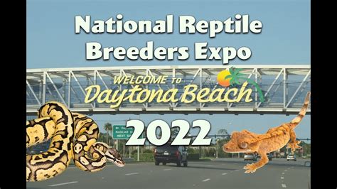 2022 Daytona National Reptile Breeders Expo NRBE YouTube