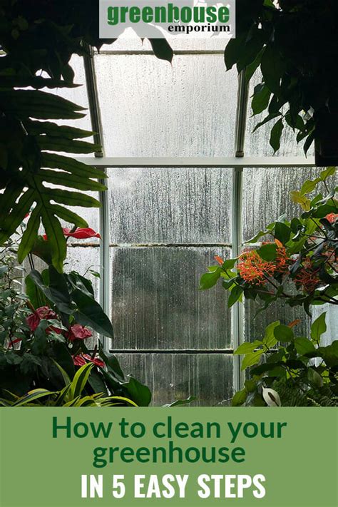 How Do I Clean My Greenhouse A Simple Step By Step Guide