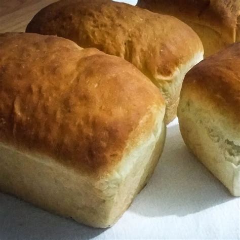 Receita de Pão Caseiro Nunca mais Erre Receita Certa