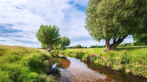 Grass River Trees Clouds Nature Scenery Wallpaper 1920x1080 Full