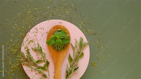 Stevia Fresh Stevia Leaves And Dry Stevia On A Pink Round Podium