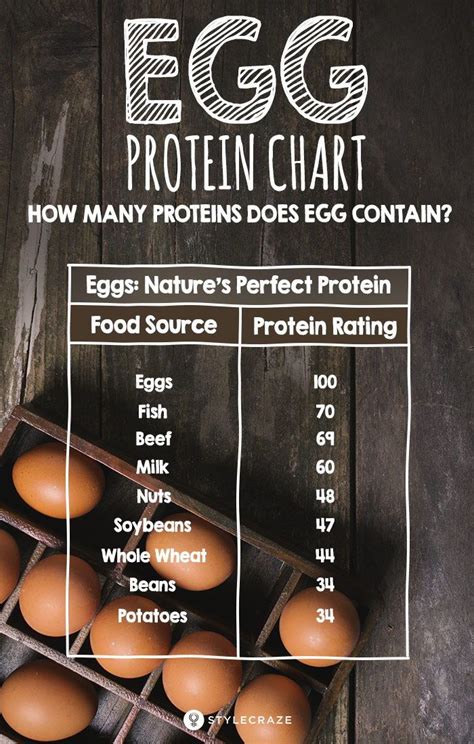 Egg Protein Chart - Protein Content Comparison with Other Foods