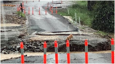 Inundaciones Masivas Inundan La Costa Este De Australia 8 Mueren En