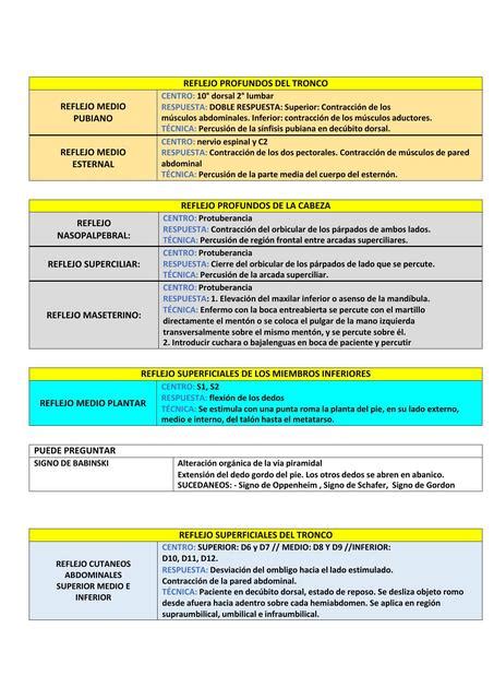 Reflejos Profundos Y Superficiales Doctor Teco Udocz