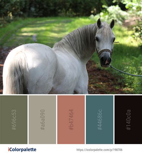 Color Palette Ideas from Horse Like Mammal Mane Image | iColorpalette