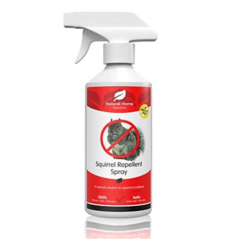 10 Best Squirrel Repellent Attic - May 2024